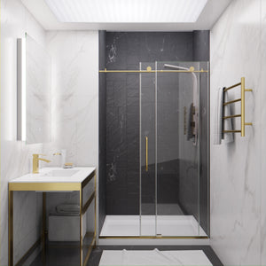 Anzzi Leon Series 48 in. by 76 in. Frameless Sliding Shower Door with Handle SD-AZ8077-01