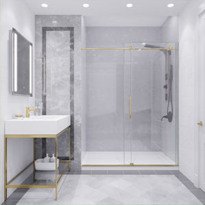 Anzzi Leon Series 60 in. by 76 in. Frameless Sliding Shower Door with Handle SD-AZ8077-02