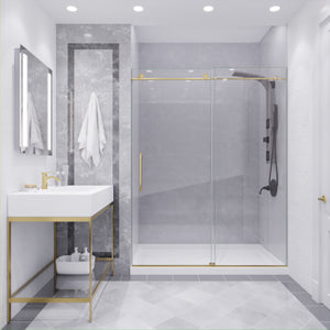 Anzzi Leon Series 60 in. by 76 in. Frameless Sliding Shower Door with Handle SD-AZ8077-02