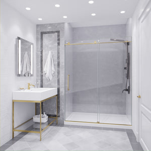 Anzzi Leon Series 60 in. by 76 in. Frameless Sliding Shower Door with Handle SD-AZ8077-02