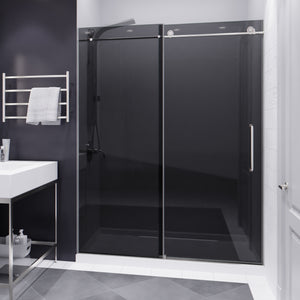 Anzzi Leon Series 60 in. by 76 in. Frameless Sliding Shower Door with Handle SD-AZ8077-02