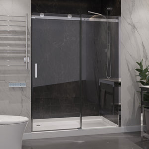 Anzzi Rhodes Series 48 in. x 76 in. Frameless Sliding Shower Door with Handle SD-FRLS05701