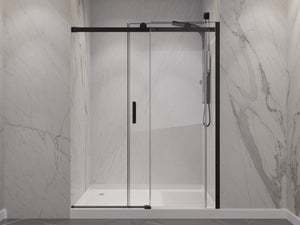 Anzzi Rhodes Series 48 in. x 76 in. Frameless Sliding Shower Door with Handle SD-FRLS05701
