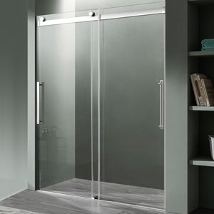 Anzzi Stellar Series 48 in. x 76 in. Frameless Sliding Shower Door with Handle SD-FRLS05901