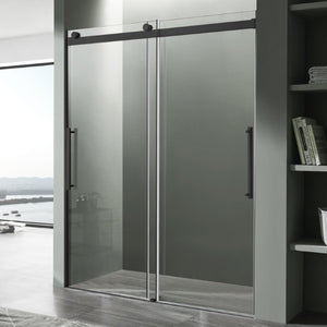 Anzzi Stellar Series 48 in. x 76 in. Frameless Sliding Shower Door with Handle SD-FRLS05901