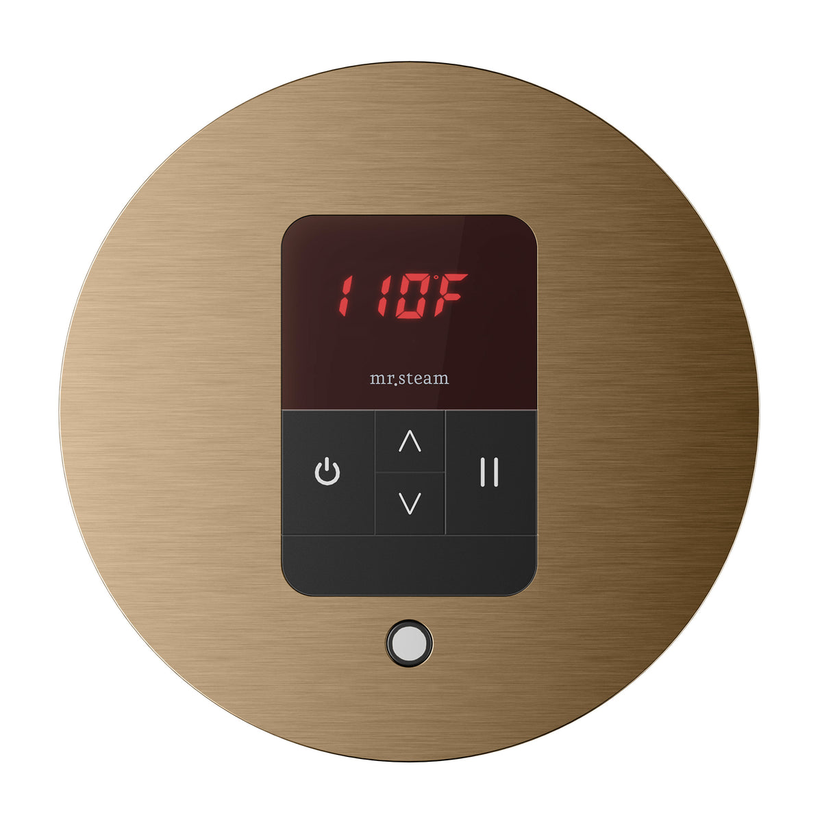 Mr. Steam iTempo Steam Shower Control and Aroma Designer SteamHead - iTEMPO - MSITEMPO