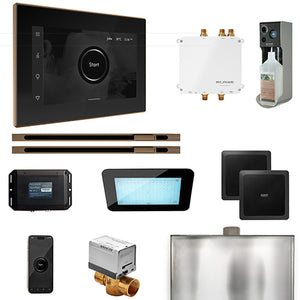 Mr.Steam Bliss Max Linear Control Pkg Bliss Steam Shower Control Package with iSteamX Control and Linear SteamHeads