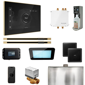 Mr.Steam Bliss Max Linear Control Pkg Bliss Steam Shower Control Package with iSteamX Control and Linear SteamHeads