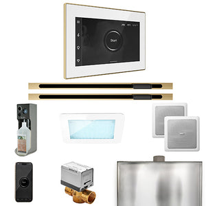 Mr.Steam XDream Max Linear Control Package with iSteamX Control and Linear Steam Head