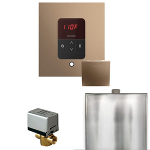 Mr. Steam Basic Butler Steam Shower Control Package with iTempo Control and Aroma Designer Finish SteamHead