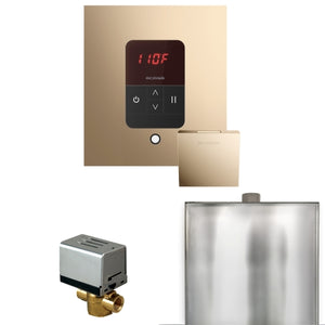 Mr. Steam Basic Butler Steam Shower Control Package with iTempo Control and Aroma Designer Finish SteamHead
