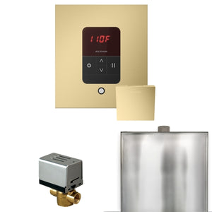 Mr. Steam Basic Butler Steam Shower Control Package with iTempo Control and Aroma Designer Finish SteamHead