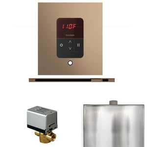 Mr. Steam Basic Butler Steam Shower Control Package with iTempo Control and Linear SteamHead