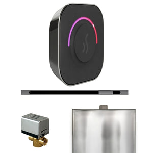 Mr. Steam ButlerTouch Steam Shower Control Package with TempoTouch Control and Linear SteamHead