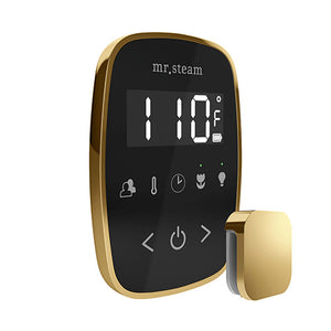 Mr. Steam TempoFlex Steam Shower Control with Aroma SteamHead