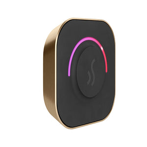 Mr. Steam TempoTouch Steam Shower Control with Aroma SteamHead