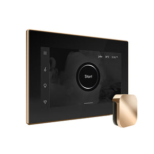 Mr. Steam iSteamX Steam Shower Control with Aroma SteamHead
