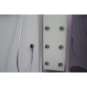 Platinum Steam Shower-Sliding Door DZ903A