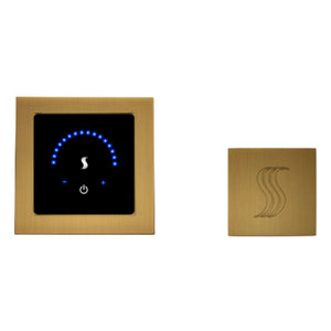 ThermaSol MTMR-SVSQ MicroTouch Steam Shower Control with Square SteamVection Steamhead