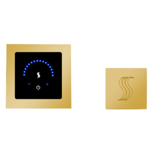 ThermaSol MTMR-SVSQ MicroTouch Steam Shower Control with Square SteamVection Steamhead