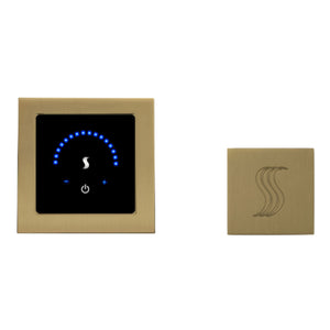 ThermaSol MTMR-SVSQ MicroTouch Steam Shower Control with Square SteamVection Steamhead