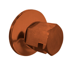 ThermaSol 3/4" NPT Traditional Style Steam Head TSS