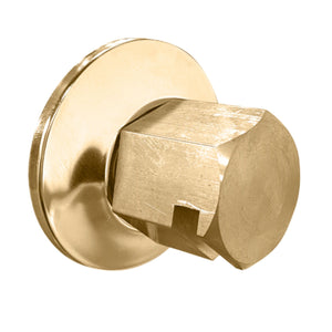 ThermaSol 3/4" NPT Traditional Style Steam Head TSS