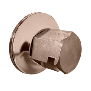 ThermaSol 3/4" NPT Traditional Style Steam Head TSS