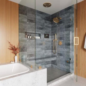 ThermaSol Serenity Light & Sound Rainhead SLSRSQ