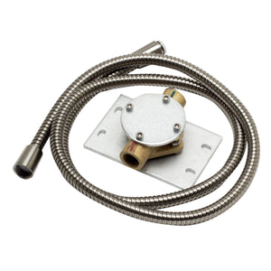 ALFI brand Hand Held Shower Hose in Brushed Nickel - AB2475 - Vital Hydrotherapy