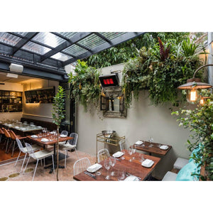 Platinum 300 Smart-Heat Liquid Propane Gas Heater Ceramic Tinted Glass Ceramic Screen wall mounted set outdoor