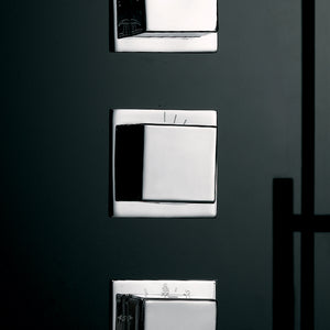 Platinum steam shower functional valve