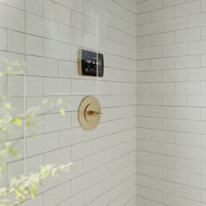 ThermaSol STC Steam Shower Control, 5" Touchscreen, Contemporary Flushmount