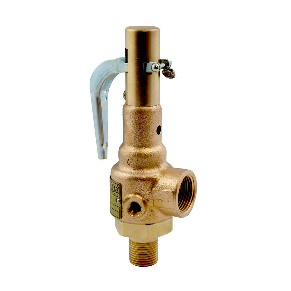 Mr. Steam 99297V Safety Valve, 15 PSIG, 1 inch