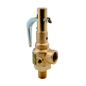 Mr. Steam 99297V Safety Valve, 15 PSIG, 1 inch
