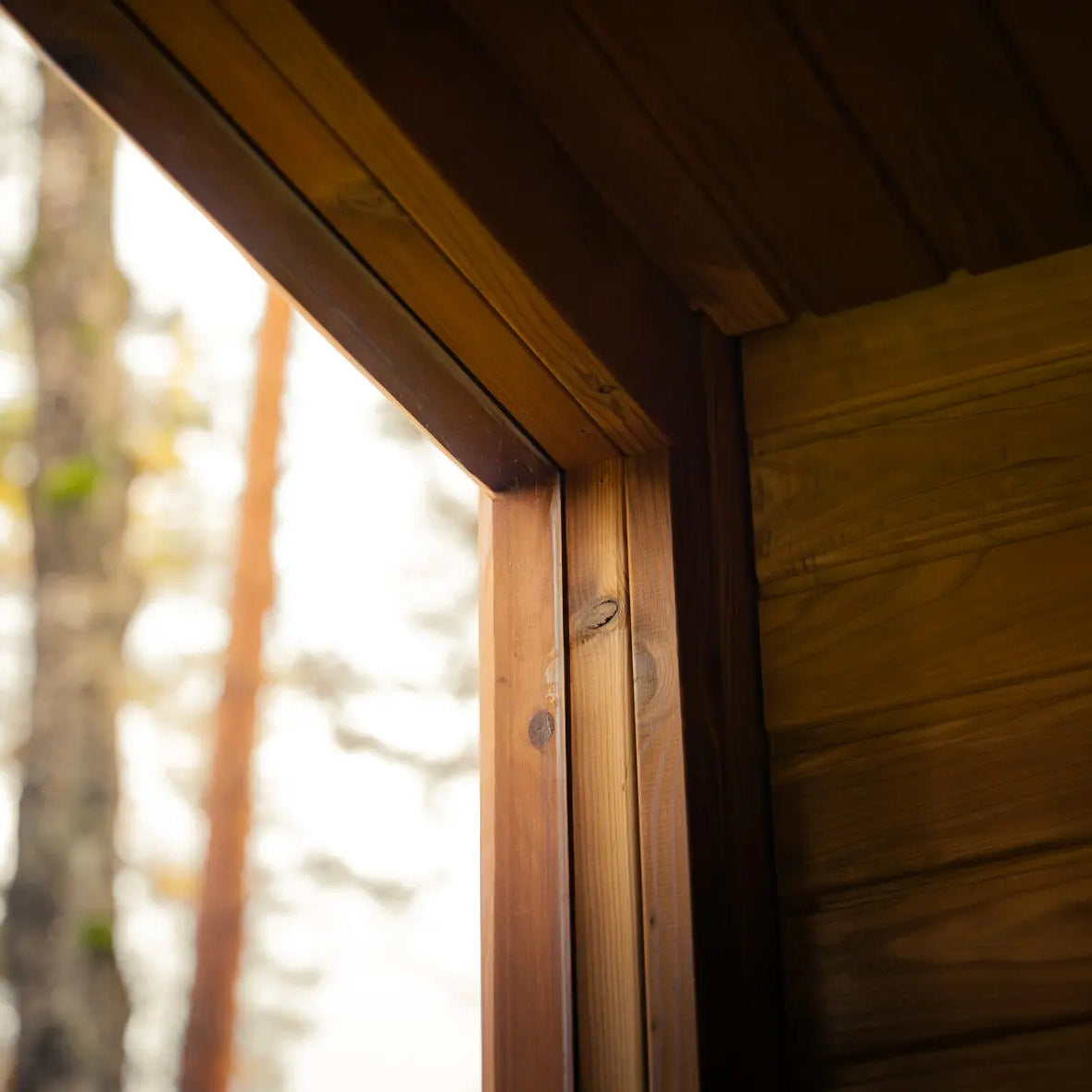 Celsium 6-Person Jonas Grand Outdoor Sauna