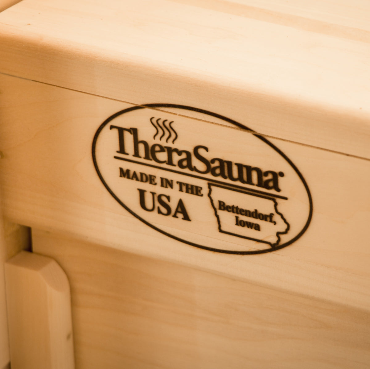 Therasauna Four Person Far-Infrared Sauna TS8753