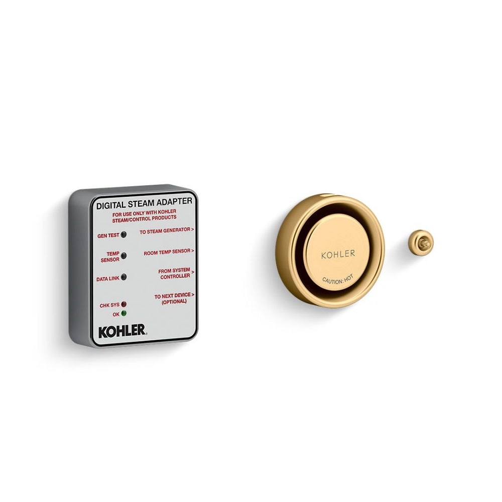Kohler Invigoration DTV+ Series Steam Adapter Kit K-5548-K1