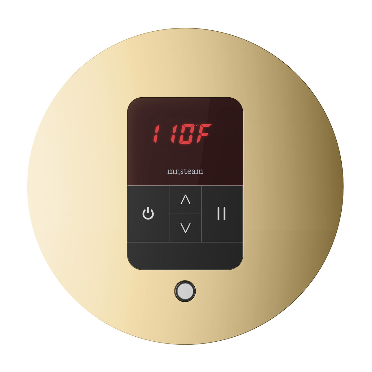 Mr. Steam iTempo Steam Shower Control and Aroma Designer SteamHead - iTEMPO - MSITEMPO