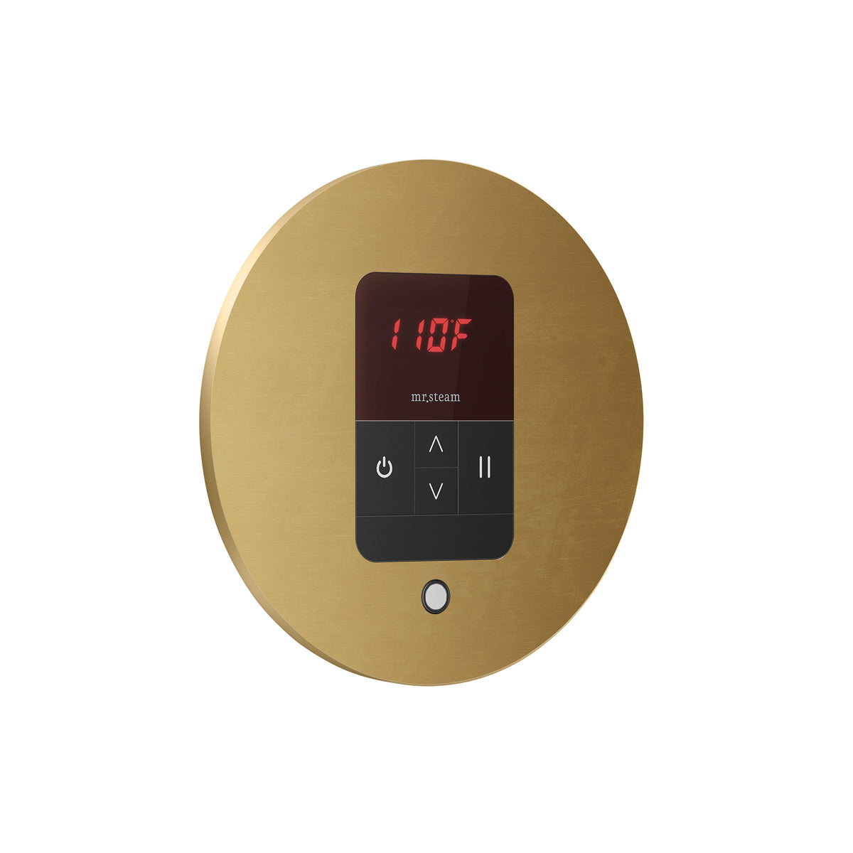 Mr. Steam iTempo Steam Shower Control and Aroma Designer SteamHead - iTEMPO - MSITEMPO