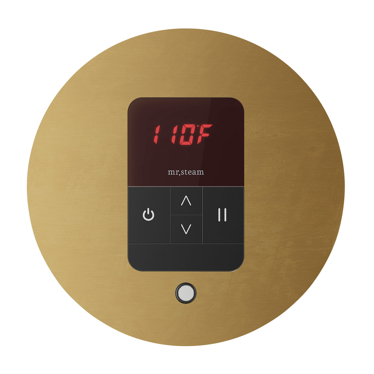 Mr. Steam iTempo Steam Shower Control and Aroma Designer SteamHead - iTEMPO - MSITEMPO