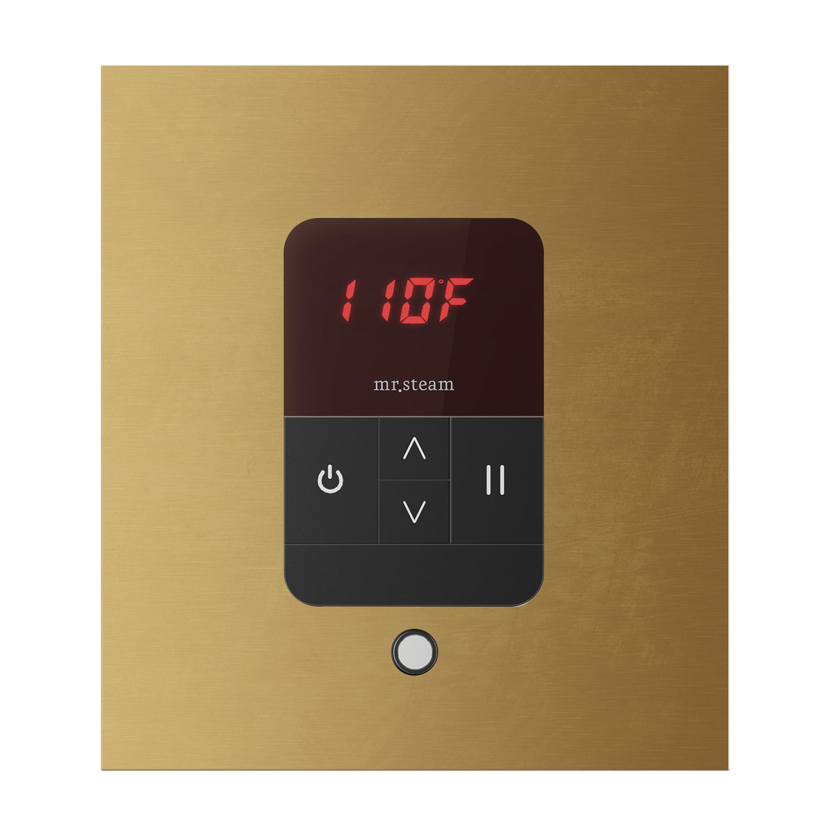 Mr. Steam iTempo Steam Shower Control and Aroma Designer SteamHead - iTEMPO - MSITEMPO