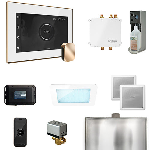 Mr.Steam Bliss Steam Shower Control Package with AromaGlass Steam Head BLISS