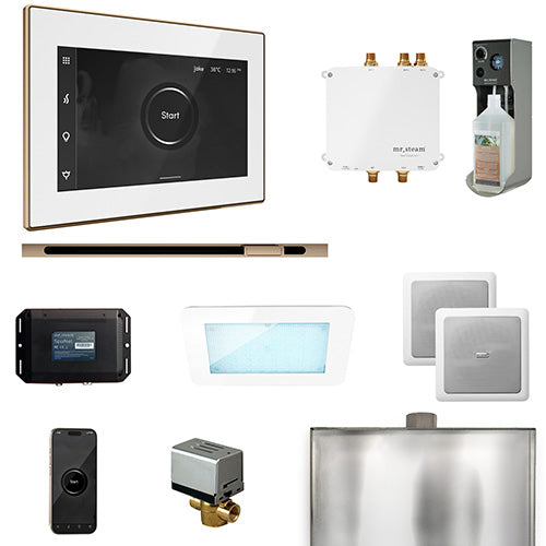 Mr.Steam Bliss Linear Control Package with iSteamX and Linear Steam Head BLS