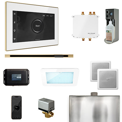 Mr.Steam Bliss Linear Control Package with iSteamX and Linear Steam Head BLS