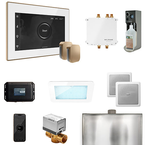 Mr.Steam Bliss Max Steam Shower Control Package with AromaGlass Steam Head BLS