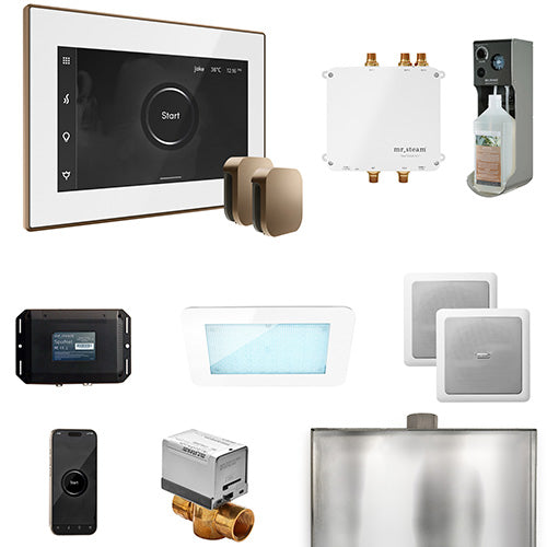 Mr.Steam Bliss Max Steam Shower Control Package with AromaGlass Steam Head BLS