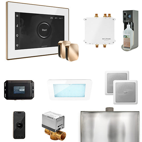 Mr.Steam Bliss Max Steam Shower Control Package with AromaGlass Steam Head BLS