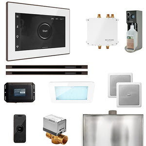 Mr.Steam Bliss Max Linear Control Pkg Bliss Steam Shower Control Package with iSteamX Control and Linear SteamHeads
