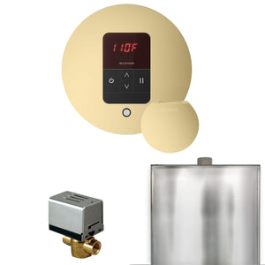 Mr. Steam Basic Butler Steam Shower Control Package with iTempo Control and Aroma Designer Finish SteamHead